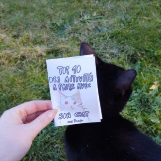 Top 10 des activités à faire avec son chat - Mini zine