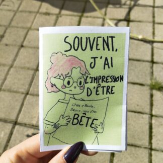Souvent, j'ai l'impression d'être bête (zine)