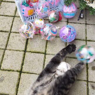 Boule de Noël surprise 🌲