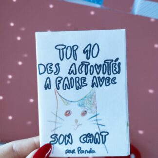 Top 10 des activités à faire avec son chat - Mini zine